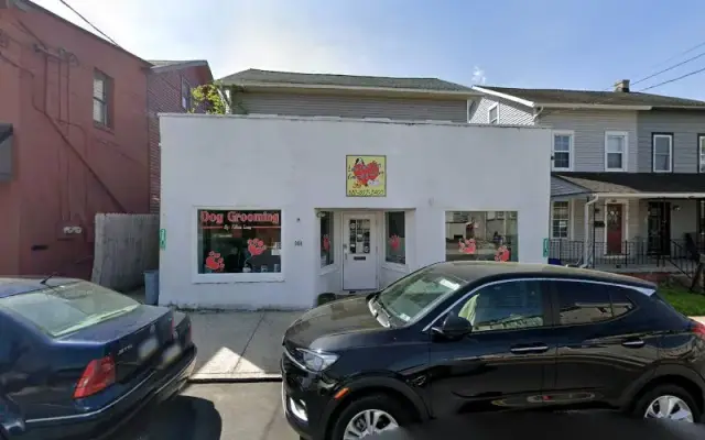 Love your dog grooming salon in Parkesburg, PA