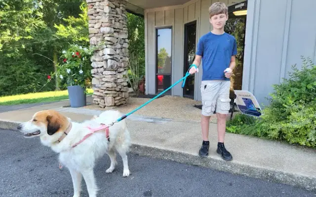 Greenbrier Animal Clinic in Anniston, AL
