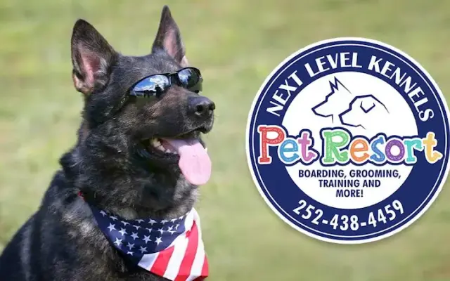 Next Level Pet Resort & Mobile Grooming in Henderson, NC