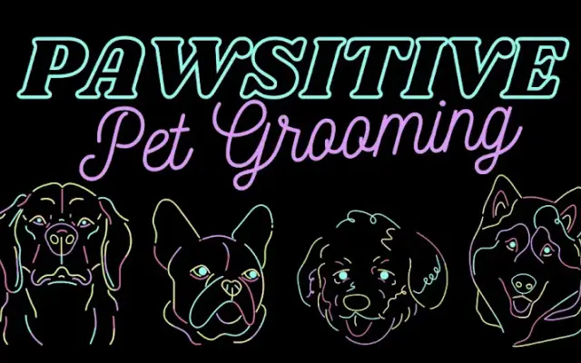 Pawsitive Pet Grooming in Vandergrift, PA