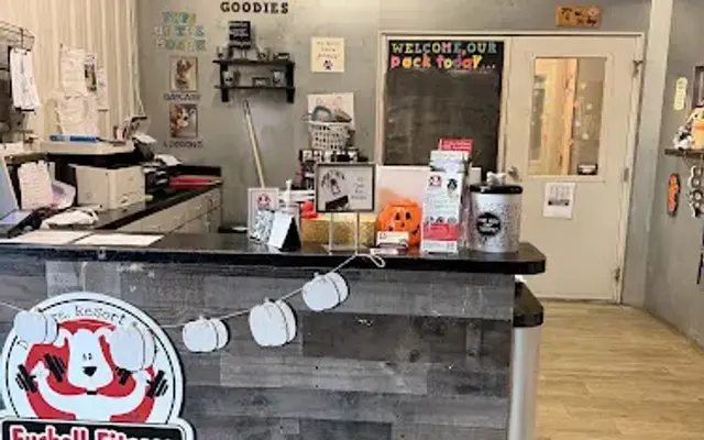Furball Fitness Pet Daycare Resort & Spa in Reynoldsburg, OH