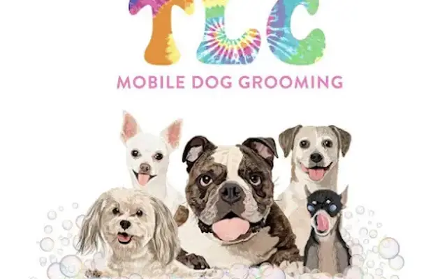 A Splash of TLC - A Top Mobile Dog Groomer in Lomita, CA