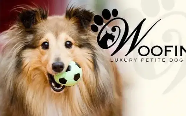 Woofington: Luxury Boarding & Grooming in Wayzata, MN