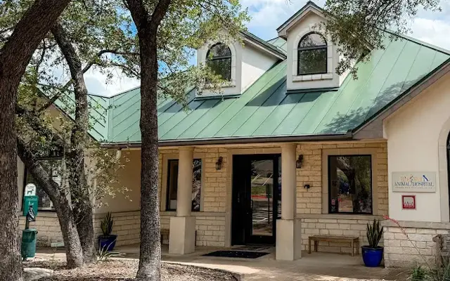 BEEVET Animal Hospital in Austin, TX