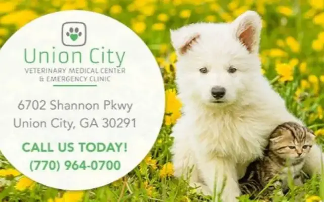 Union City Veterinary Medical Center & Emergency Clinic in Union City, GA