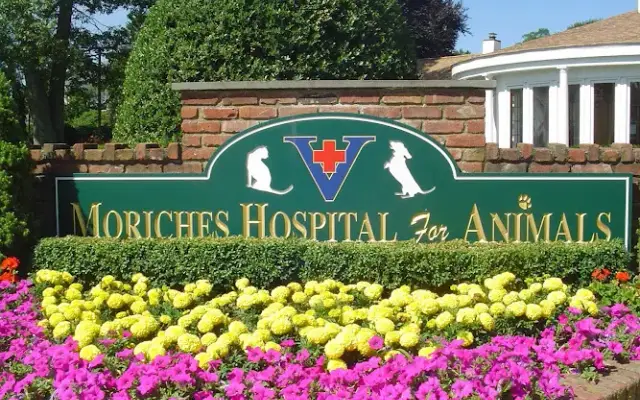The Moriches Hospital For Animals in Center Moriches, NY