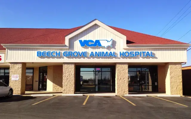 VCA Beech Grove Animal Hospital in Indianapolis, IN
