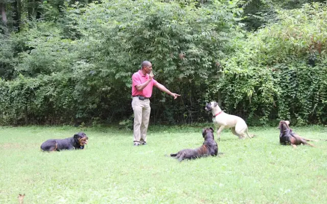 Save Me From The Dog House in Marietta, GA