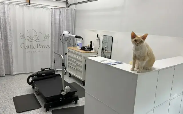 Gentle Paws Grooming in O'Fallon, IL