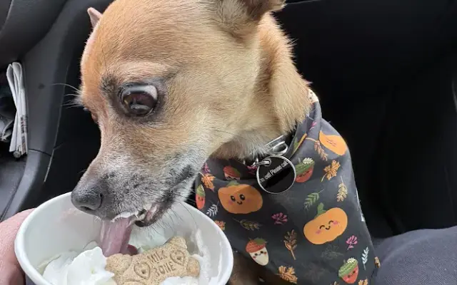 PetSmart Grooming in Edmond, OK