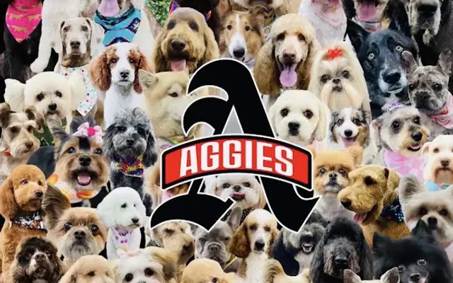Yappy Hour of Albertville in Albertville, AL