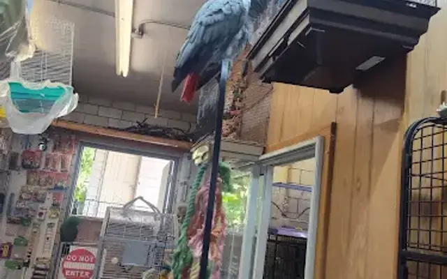 Pet Connection in Alliance, OH