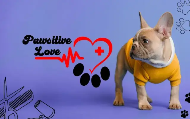 Pawsitive Love Dog in Miami, FL