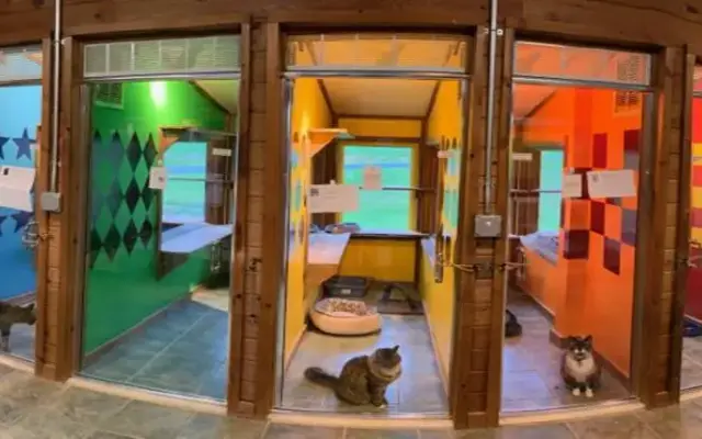 Milton Manor Pet Resort & Spa in Middle Grove, NY