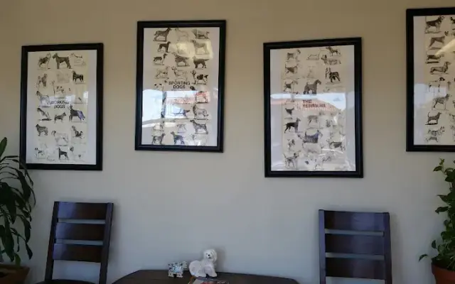 Cali's Pet Grooming in Mission Viejo, CA