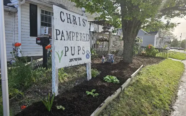 Chris' Pampered Pups in Moline, IL