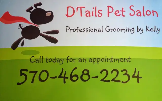 D'Tails Pet Salon Grooming by Kelly in Eynon, PA