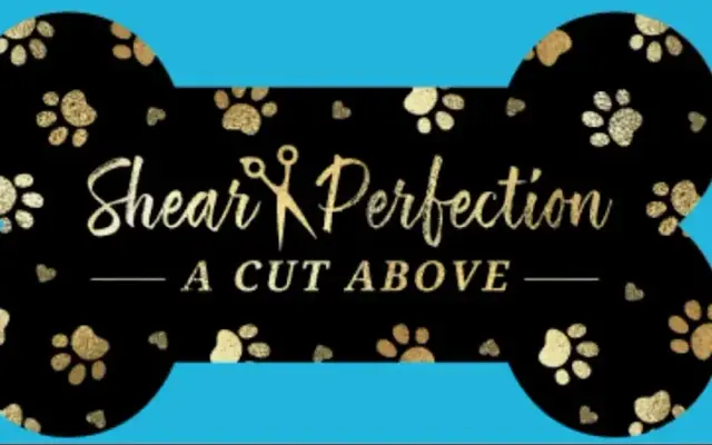 Shear Perfection - A Cut Above in New Milford, CT
