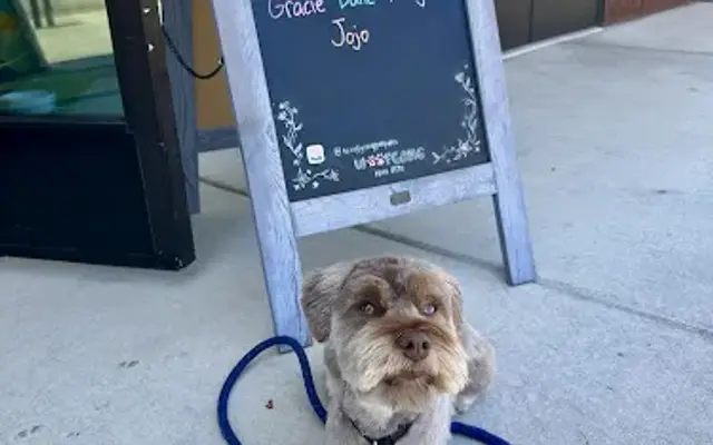 Woof Gang Bakery & Grooming Palo Alto in Palo Alto, CA