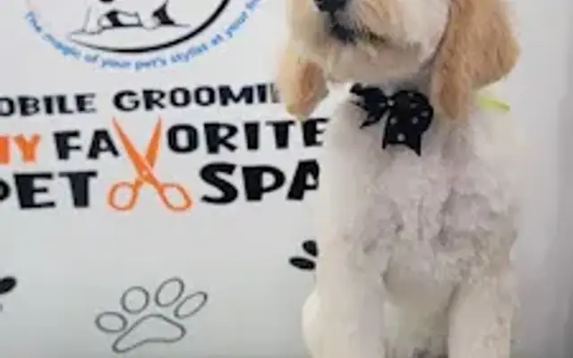 My Favorite Pet Spa Mobile Grooming in Sherman Oaks, CA