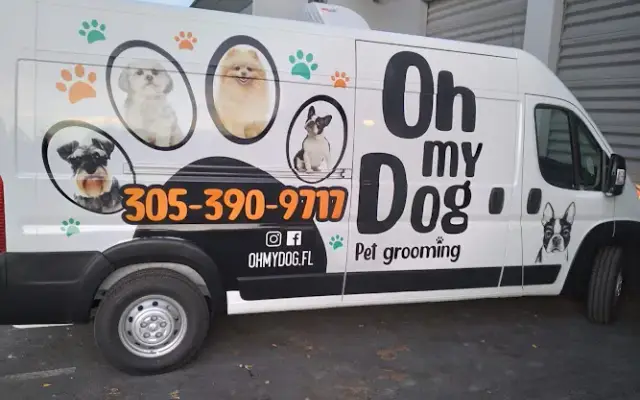 Oh my dog Miami in Hialeah, FL