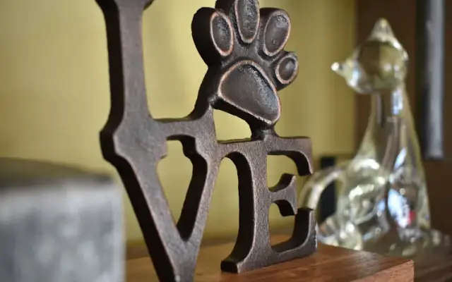 Community Animal Clinic in Powder Springs, GA