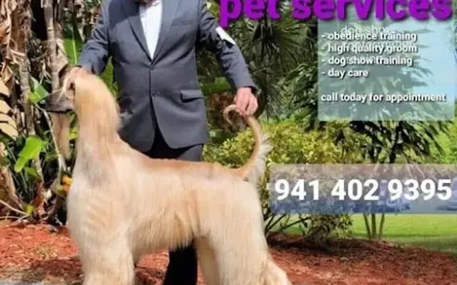 ALFONSO’S DOG MOBILE GROOMING in Sarasota, FL