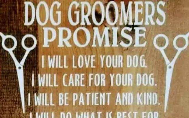 Puppy Purrs Dog Grooming in Crawfordville, FL
