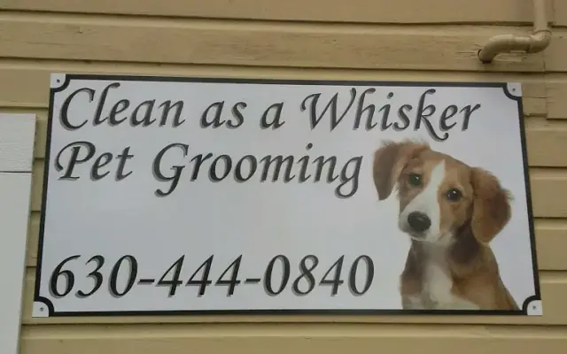 Clean as a Whisker in St. Charles, IL