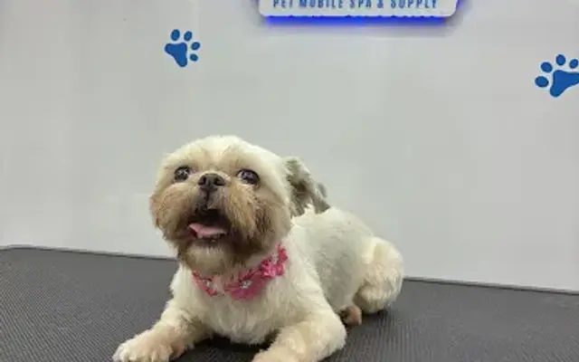 Cocos Grooming - Pet Mobile Spa & Supply in Conroe, TX