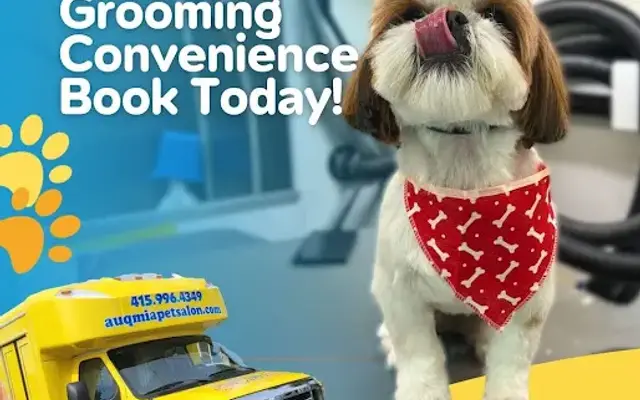 AUQMIA Pet Salon & Mobile Dog Grooming in Tiburon, CA
