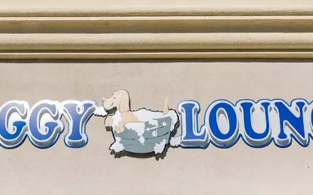Doggy Lounge Grooming in Henderson, NV