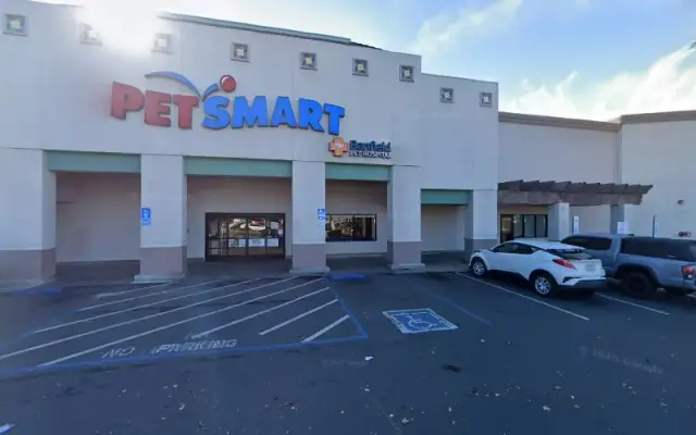 PetSmart Dog Training in San Bernardino, CA