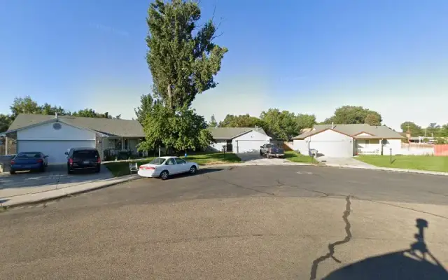 White dog grooming in Star, ID