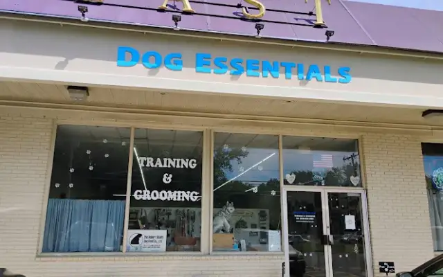 Dog Essentials in Vernon, CT