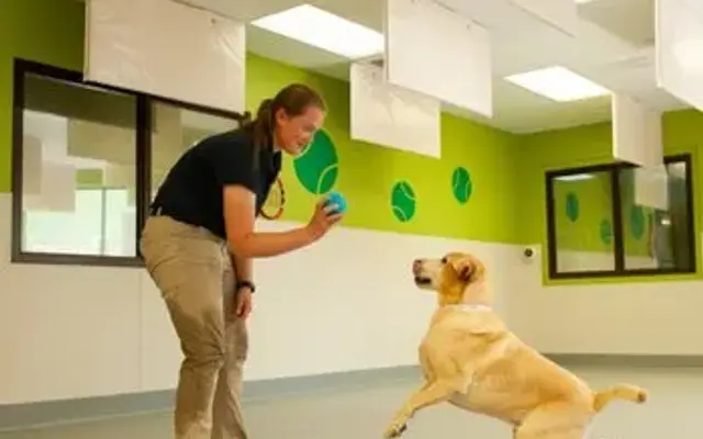 Folsom Dog Resort & Training Center in Folsom, CA