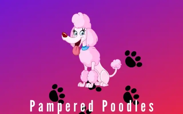 Pampered Poodles in Scottsdale, AZ