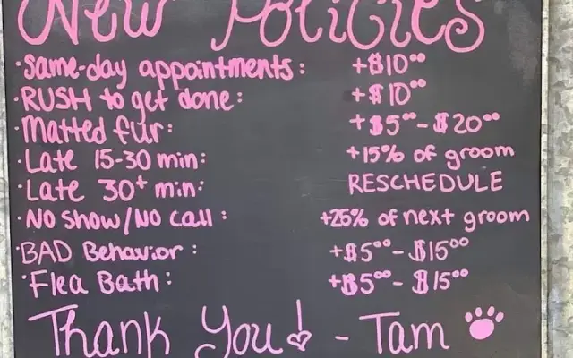 Doggie Styles Pet Grooming in Westlake, LA