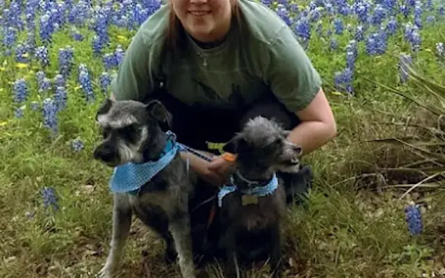 Tender Touch Dog Grooming in Burnet, TX