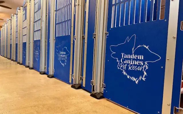 Tandem Canines Pet Resort in San Antonio, TX