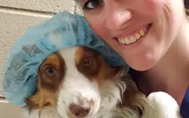 TIffany's Animal Care in Coram, MT