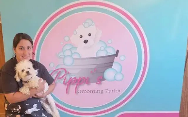 Pippi's grooming parlor in New Castle, PA