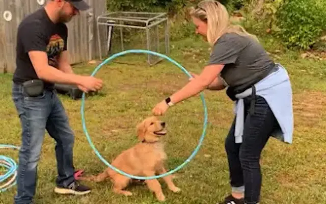 Bernardsville Country Kennels in Bernardsville, NJ