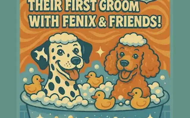 Fenix & Friends: Dog Daycare & Spa & Boarding in Sapulpa, OK
