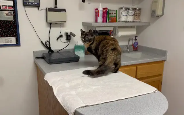 Burnsville Pet Hospital in Burnsville, MN