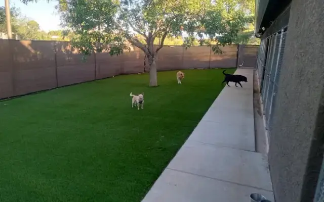 Johnny’s Doghouse in Cottonwood, AZ