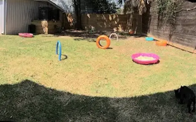 Yale Street Dog House in Houston, TX