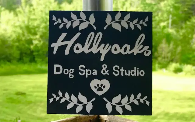 Hollyoaks Dog Spa & Studio in Thomaston, ME