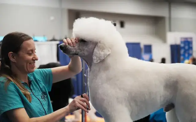 Divine K9 Groom Studio in Walla Walla, WA