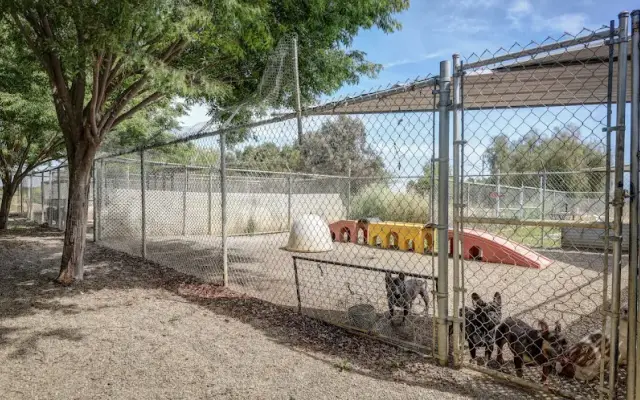 Roam N Board in Patterson, CA